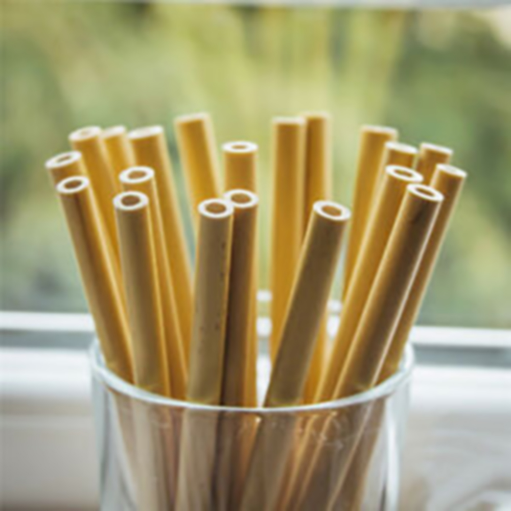 Reusable bamboo straws Fibonaeco